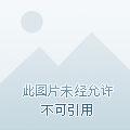箭穿万里 箭穿万里