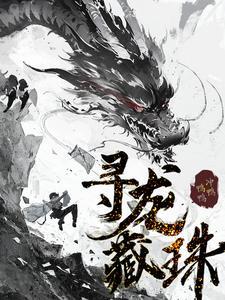 寻龙藏珠 寻龙藏珠