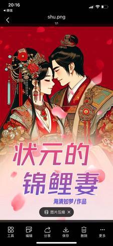 状元的锦鲤妻 状元的锦鲤妻