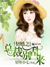 契婚之总裁别乱来 契婚之总裁别乱来